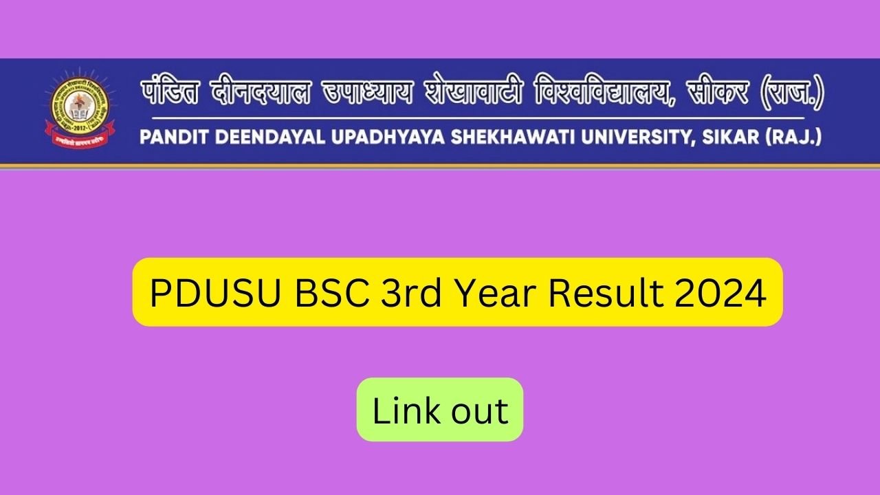 PDUSU BSC 3rd Year Result 2024